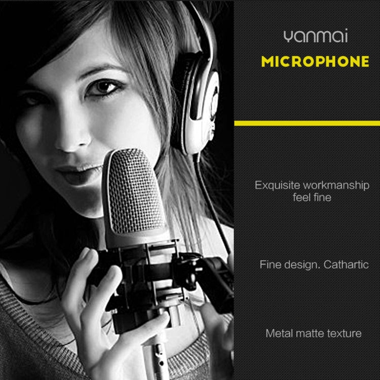 Compatibile con PC e Mac per spettacoli trasmessi dal vivo, KTV, ecc.