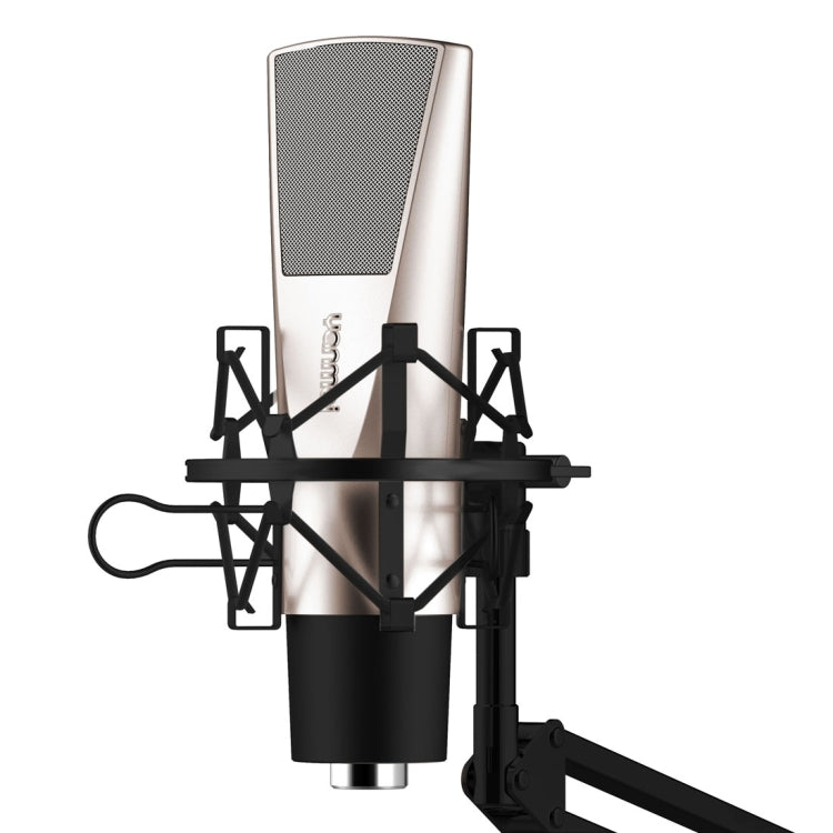 Yanmai Q6 Professional Gaming Condenser Audio Recording Microphone Compatible with PC and Mac for Live Broadcast Show, KTV, etc.