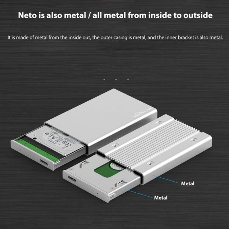 Blueendless Custodia SATA per HDD 2,5" con cavo USB-C