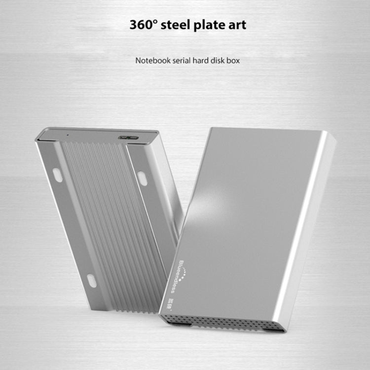 Blueendless Custodia SATA per HDD 2,5" con cavo USB-C