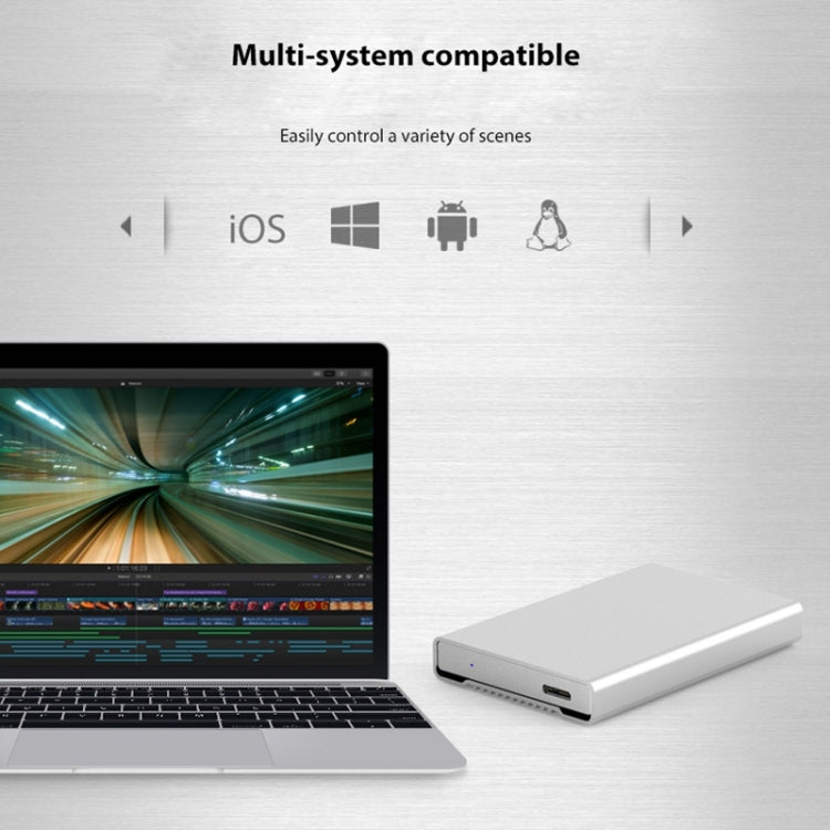 Blueendless Custodia SATA per HDD 2,5" con cavo USB-C