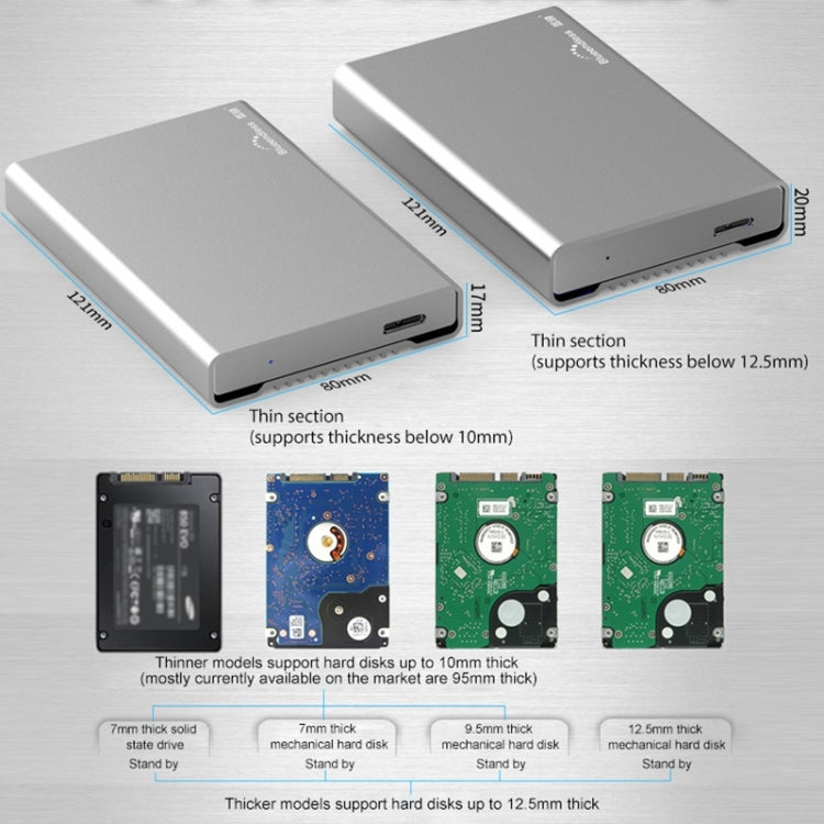 Blueendless Custodia SATA per HDD 2,5" con cavo USB-C