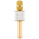 Microfono wireless Bluetooth con doppi altoparlanti SD-08