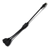 Adattatore splitter per spina LAN Ethernet CAT5 RJ45 da 1 a 2 prese, lunghezza cavo: 25 cm