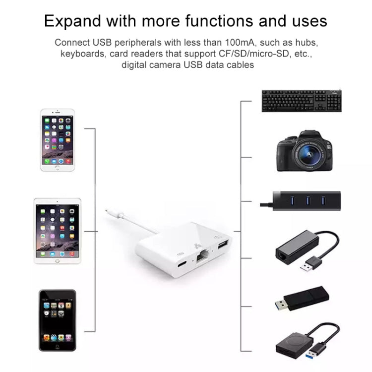 Adattatore 3 in 1 8 pin maschio a USB e Ethernet