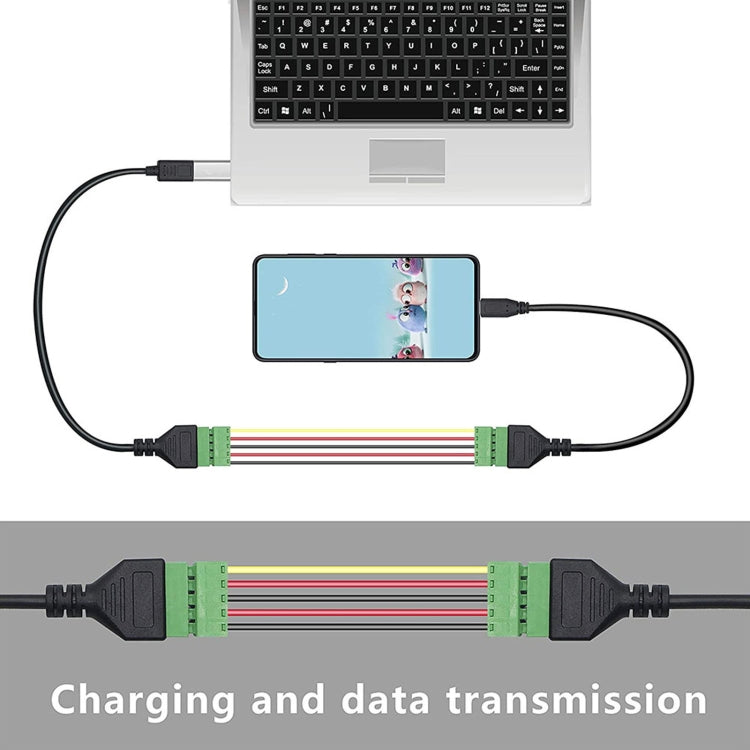 Connettore USB-C maschio a terminale verde 5 pin 24 cm