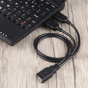 Cavo USB femmina a 2 USB maschio, lunghezza: circa 30 cm