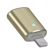 Adattatore OTG a 8 pin per iPhone