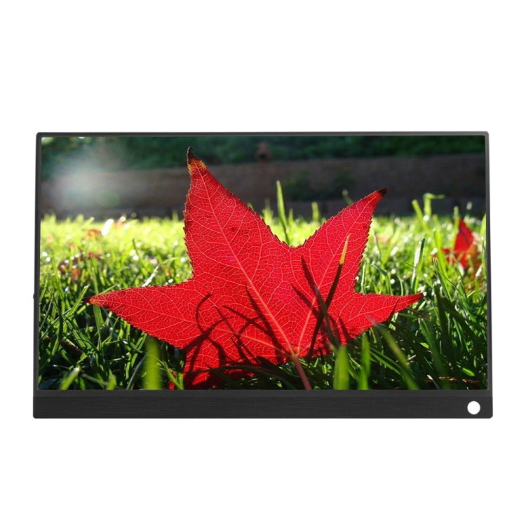 Monitor con display LED IPS portatile HD grandangolare da 15,6 pollici 1080P da 178 gradi, HSD-1560