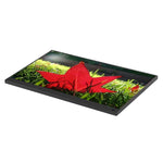 Monitor portatile LED IPS 15,6" Full HD 1080P