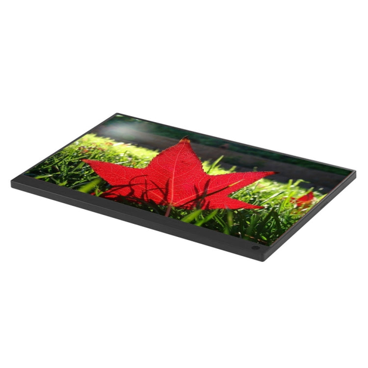 Monitor portatile LED IPS 15,6" Full HD 1080P