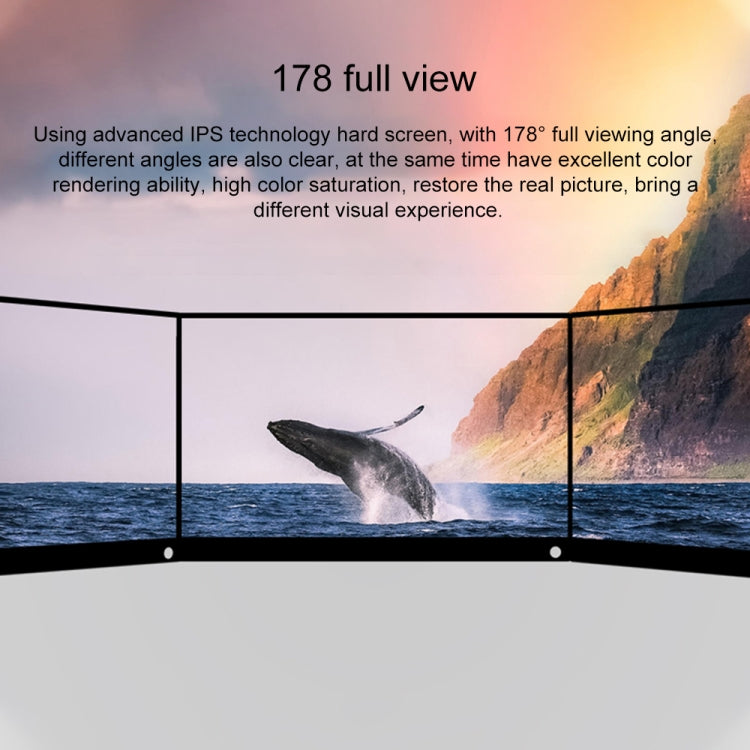 Monitor portatile LED IPS 15,6" Full HD 1080P