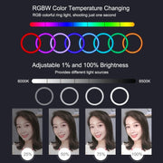 Luce anello LED 6,2" RGBW dimmerabile con supporto USB