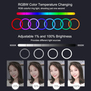 Luce anello LED RGBW 6,2" con supporto treppiede e telecomando