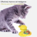 Giradischi per gatti giocattolo per animali domestici Divertente giocattolo per gatti Scratch Scratching