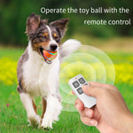 O1 Palla luminosa per addestramento di cani giocattolo con telecomando intelligente, Remote Control, 8cm Remote Control