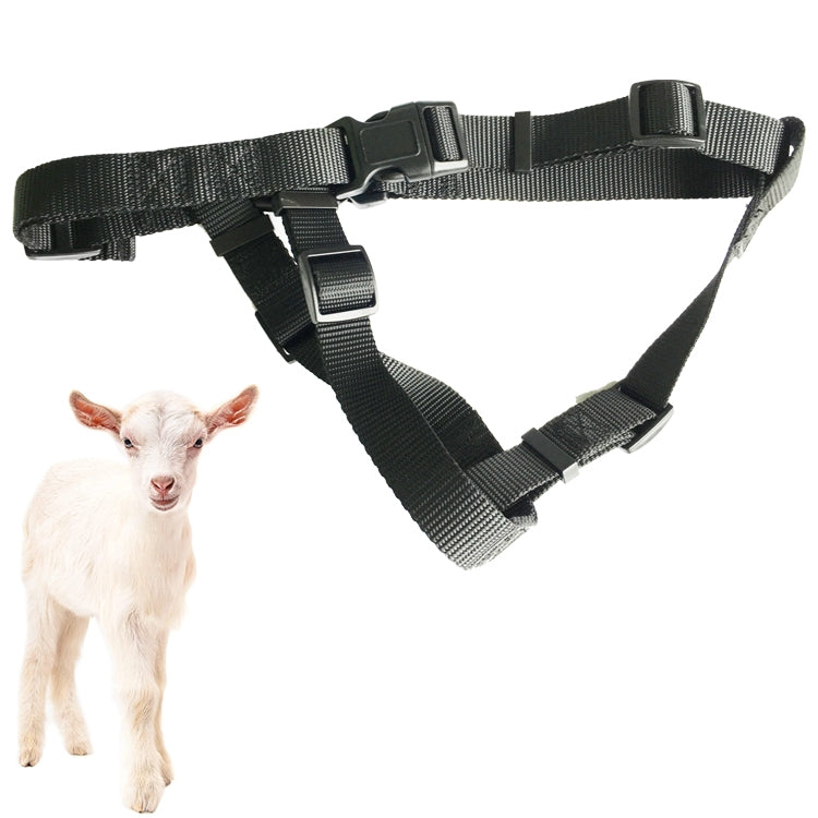 Set localizzatori GPS per pecore grandi e cani piccoli