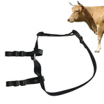Set collari GPS localizzatore bestiame V34 V44