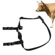 Set di localizzatore di bestiame V34/V44 Set di collari di posizionamento GPS per dispositivo anti-smarrimento degli animali, For Cattle