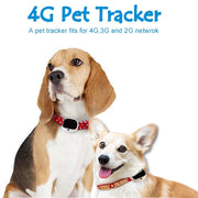 RF-V43 B Style IP67 GPS impermeabile + LBS + WiFi Localizzatore per animali domestici Dispositivo di localizzazione collare per animali domestici per Nord America/Sud America/Australia, RF-V43 B Style (Black), RF-V43 B Style (White)