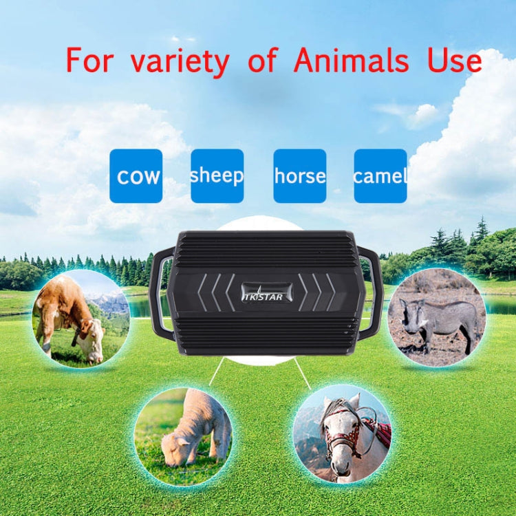 Localizzatore GPS TKSTAR TK935 3000mAh impermeabile
