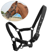 Set localizzatore di cavalli Dispositivo anti-smarrimento per il monitoraggio degli animali Set di collari di posizionamento GPS, For Horse
