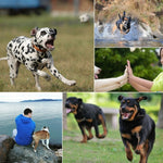 PULUZ Hound Dog Imbracatura per il recupero della cinghia toracica regolabile per GoPro Hero11 Black / HERO10 Black / HERO9 Black / HERO8 Black / HERO7 /6 /5 /5 Session /4 Session /4 /3+ /3 /2 /1, Insta360 ONE R,DJI Osmo Action e altre action camera   ...