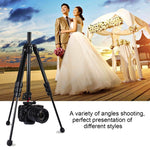 PULUZ Gambe pieghevoli a 4 sezioni Supporto per treppiede in metallo con testa a sfera a 360 gradi per DSLR e fotocamera digitale, altezza regolabile: 42-130 cm, Adjustable Height: 42-130cm