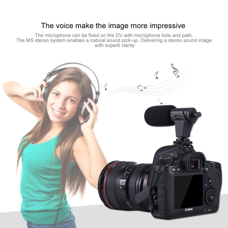 PULUZ Microfono professionale per interviste audio stereo da 3,5 mm per registrazione Vlogging per videocamera DSLR e DV, smartphone, Mini Microphone(AE), Mini Microphone