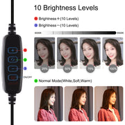 PULUZ 11,8 pollici 30 cm USB 3 modalità dimmerabile anello LED Vlogging Selfie Fotografia Luci video con testa a sfera per treppiede con slitta fredda e morsetto per telefono, 11.8 inch