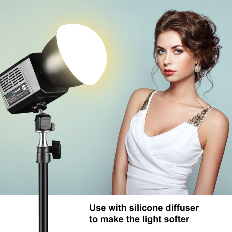 PULUZ 60W Studio Video Light 2500K-6500K Doppia Temperatura Colore Fotografia Professionale Luce di Riempimento, 60W Studio Video Light