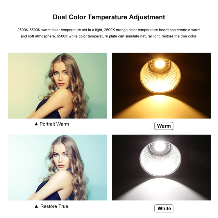 PULUZ 60W Studio Video Light 2500K-6500K Doppia Temperatura Colore Fotografia Professionale Luce di Riempimento, 60W Studio Video Light