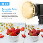 PULUZ 60W Studio Video Light 2500K-6500K Doppia Temperatura Colore Fotografia Professionale Luce di Riempimento, 60W Studio Video Light