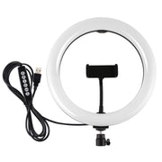 Anello LED RGBW 10.2" USB con testa a sfera per smartphone
