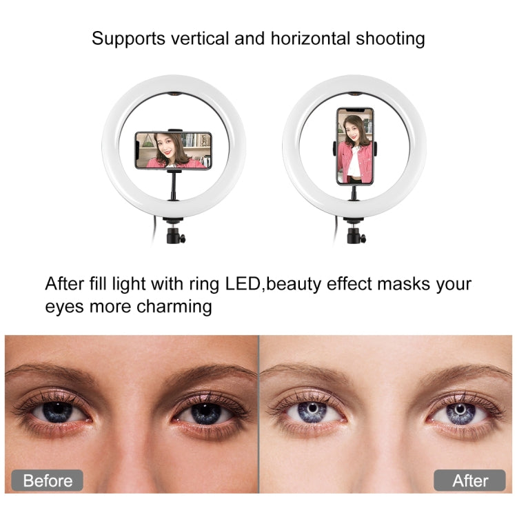 Anello LED RGBW 10.2" USB con testa a sfera per smartphone