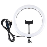 Luce anello LED 11,8 pollici USB dimmerabile 3 colori