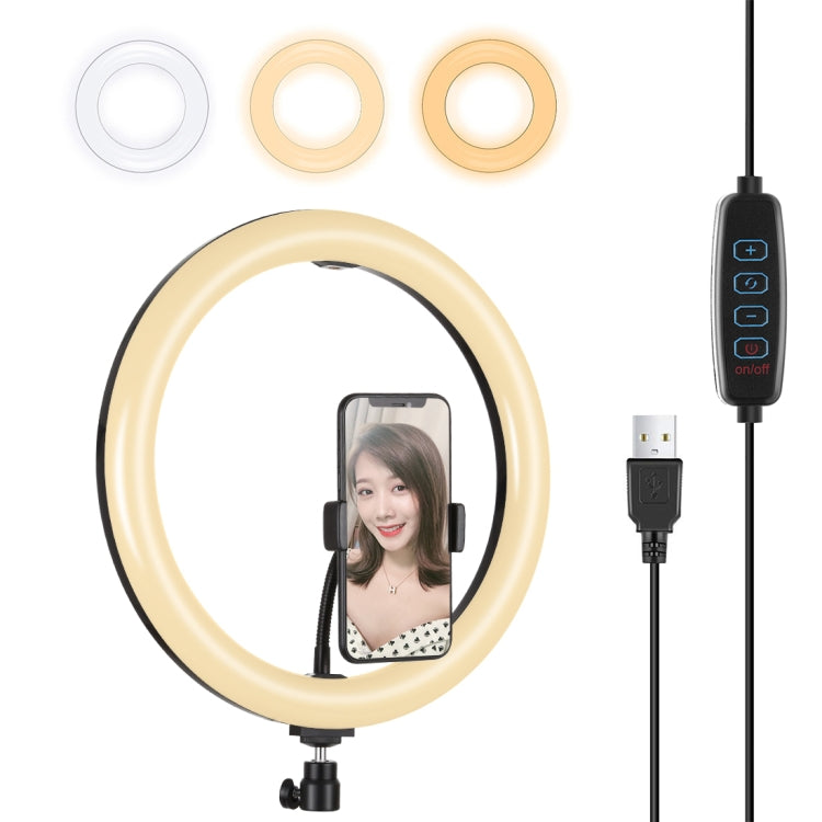 Luce anello LED 11,8 pollici USB dimmerabile 3 colori