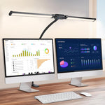 Lampada da scrivania LED doppia testa con clip e collo d'oca