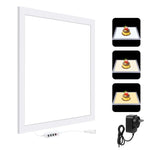PULUZ 1000LM LED Acrilico No Polare Oscuramento Luce Senza Ombre con Interruttore per Scatola da Studio Fotografico da 40 cm, Light(US), Light(UK), Light(EU), Light(AU), Light (JP PSE Certified)