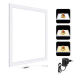 PULUZ 1000LM LED Acrilico No Polare Oscuramento Luce Senza Ombre con Interruttore per Scatola da Studio Fotografico da 40 cm, Light(US), Light(UK), Light(EU), Light(AU), Light (JP PSE Certified)