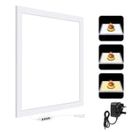 PULUZ 1000LM LED Acrilico No Polare Oscuramento Luce Senza Ombre con Interruttore per Scatola da Studio Fotografico da 40 cm, Light(US), Light(UK), Light(EU), Light(AU), Light (JP PSE Certified)