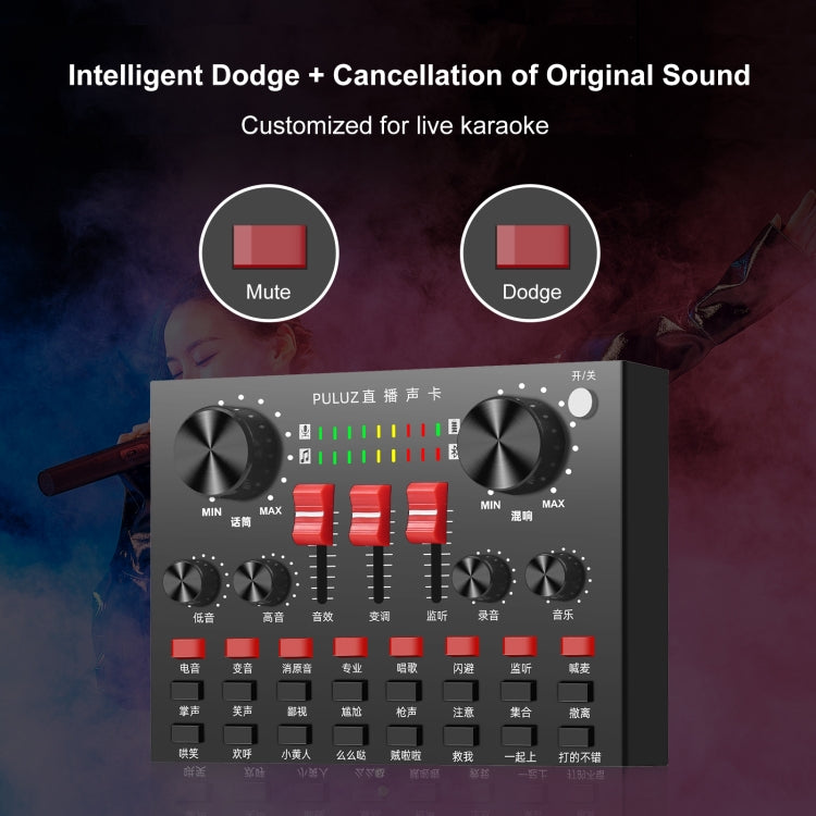 Scheda Audio Bluetooth Karaoke per smartphone e PC