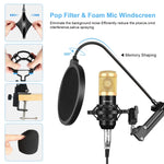 Microfono a condensatore con braccio a forbice e scheda audio USB