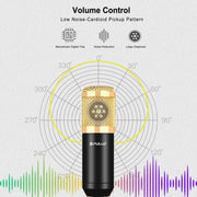Microfono a condensatore con braccio a forbice e scheda audio USB