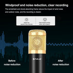 Microfono a condensatore con braccio a forbice e scheda audio USB