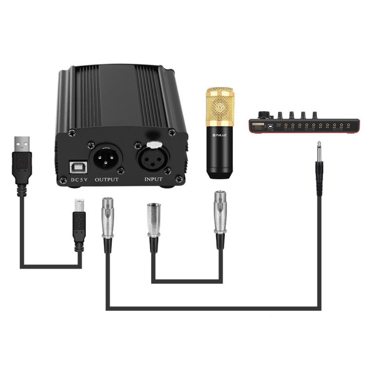 PULUZ Microfono a condensatore Studio Broadcast Kit microfono professionale per canto con braccio a forbice a sospensione e supporto antiurto in metallo e scheda audio USB, alimentazione da 48 V, 48V Microphone Kits (Gold)