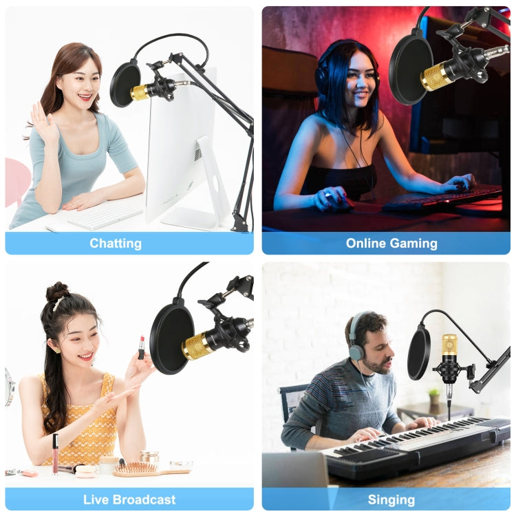 Microfono a condensatore PULUZ per studio e broadcast