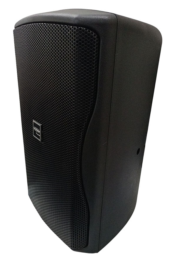 Cassa acustica passiva 200W 8OHM ZX-1i-90