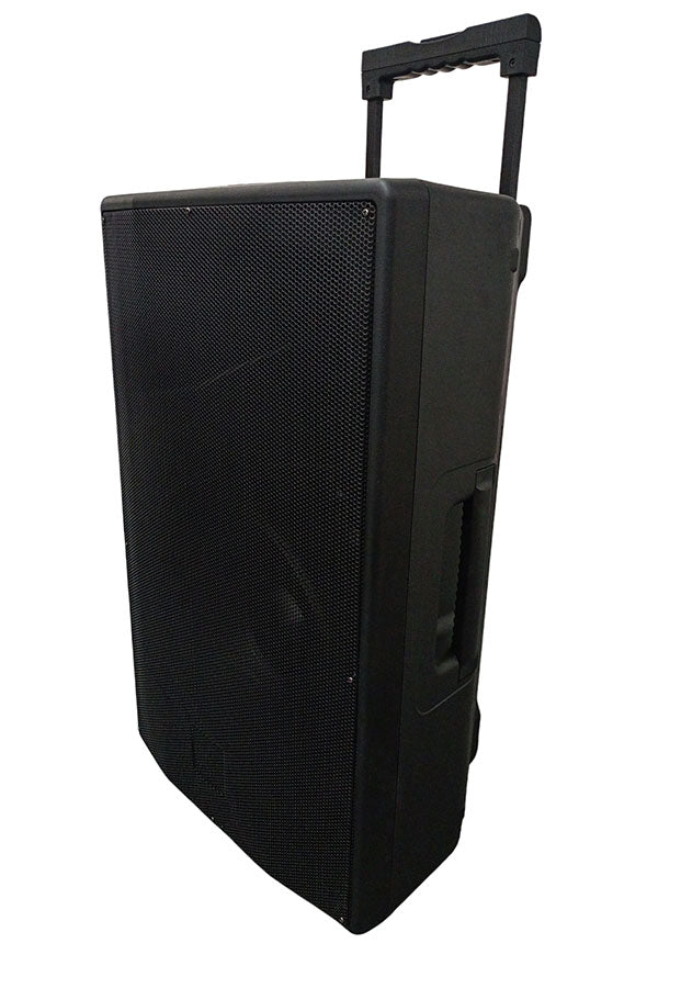 Cassa acustica passiva professionale 300W 8 OHM