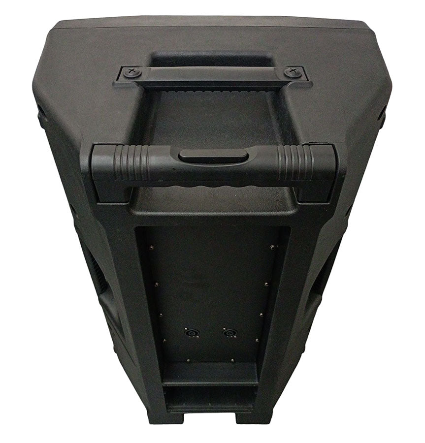 Cassa acustica passiva professionale 300W 8 OHM